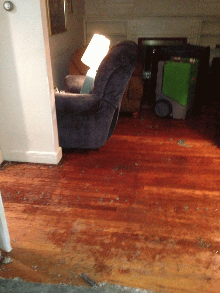 How much does it cost to repair and clean up water damage
