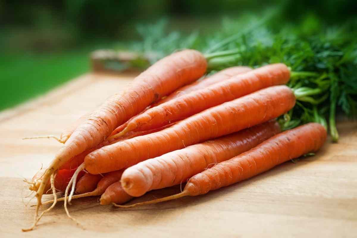 carrots on table